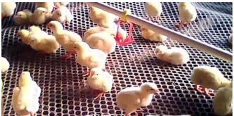 �B�u������늺��WƬ