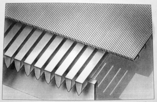 ���P䓺Y�W�S��